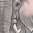 Elefante